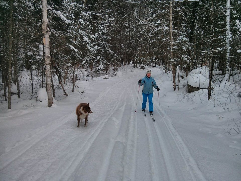 Algonquin Park Cross-Country Skiing