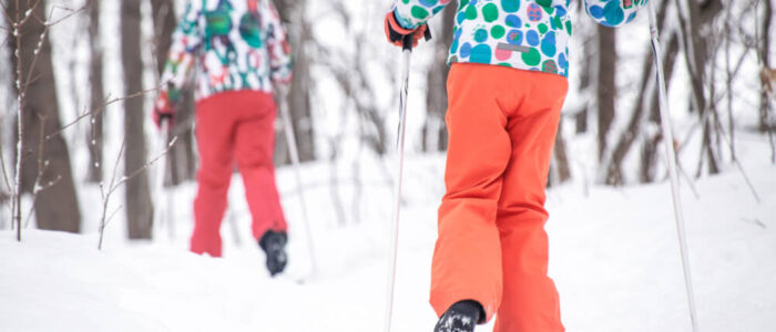 Photo of Two Children Nordic Skiing near the Eco-Lodge, One of the Premier Family Reunion Locales in Ontario.